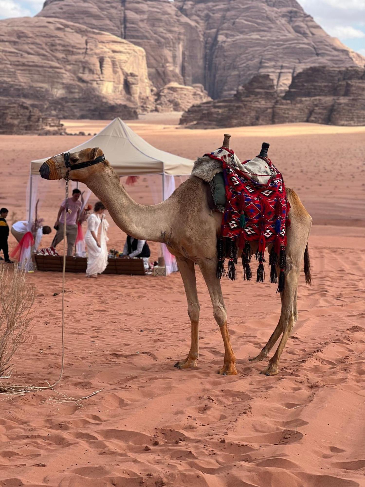Moon Magic Valley Apartamento Wadi Rum Exterior foto