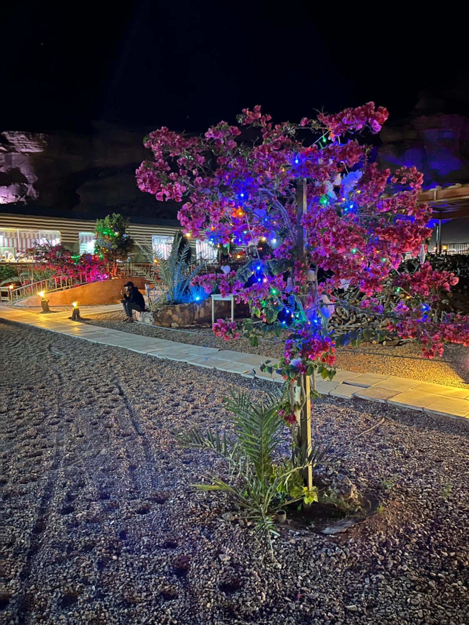 Moon Magic Valley Apartamento Wadi Rum Exterior foto