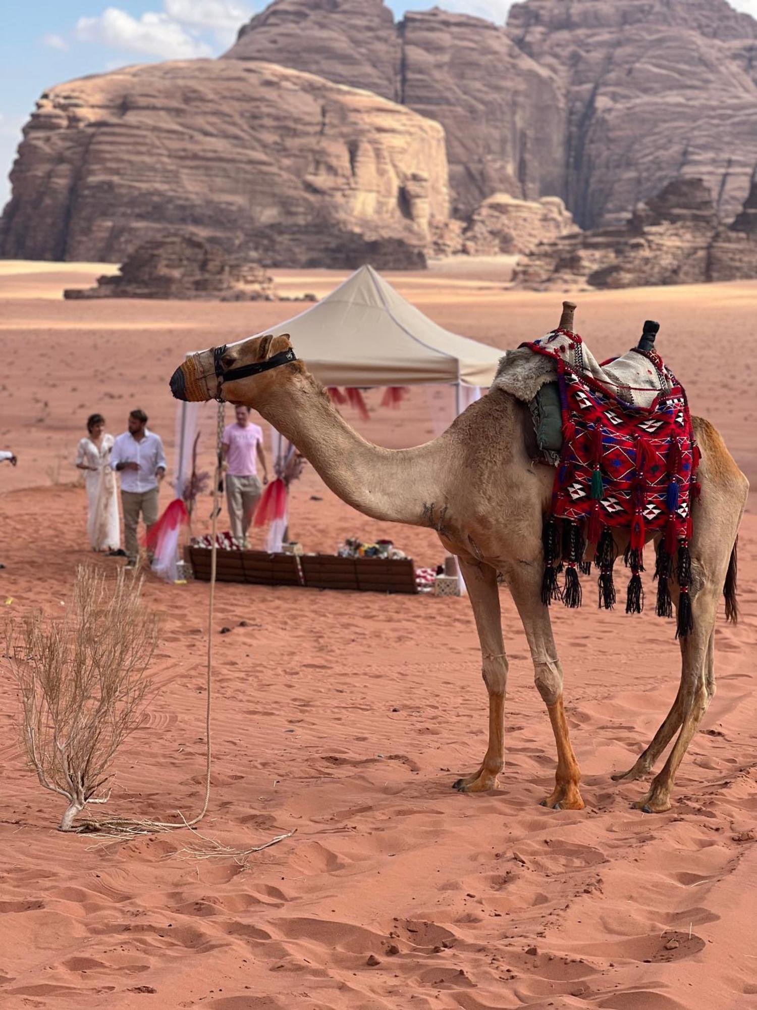 Moon Magic Valley Apartamento Wadi Rum Exterior foto
